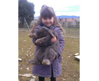 TU EXPERIENCIA EN FAMILIA