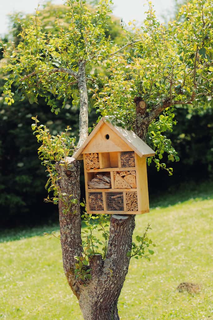 Hondakinak kudeatzea eta gutxiagotzea