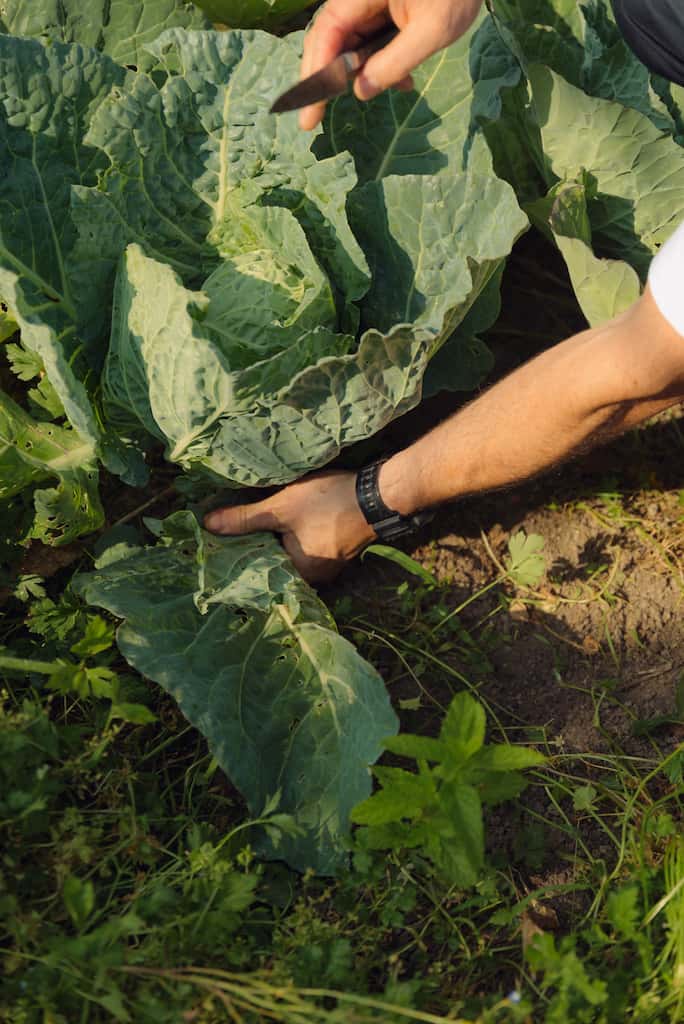 Ingurunea errespetatu eta zaindu